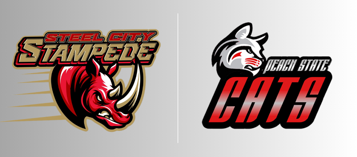 AAL2 Championship: Steel City Stampede VS. Peach State Cats